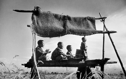 Тейске Чиба (1917-1965) Пропъждане на врабчета, Кицунедзака, с. Тайю, ок. 1943